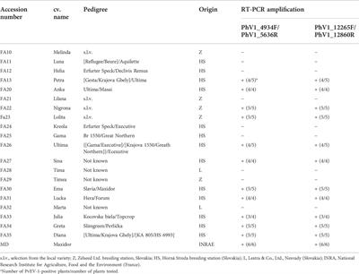 Phaseolus vulgaris alphaendornavirus-1 is frequent in bean germplasm in Slovakia and shows low molecular variability